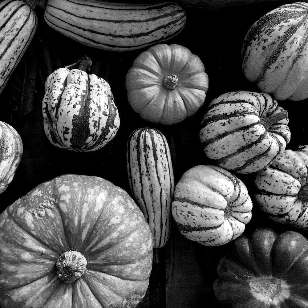 Black And White Pumpkins