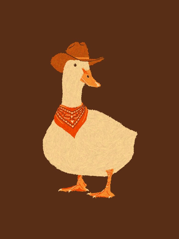 Bo The Cowboy Duck