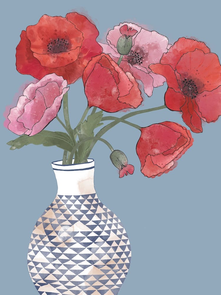 Poppy Flowers, Poppies In Vase