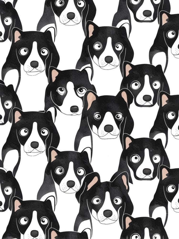 Black And White Dogs 4