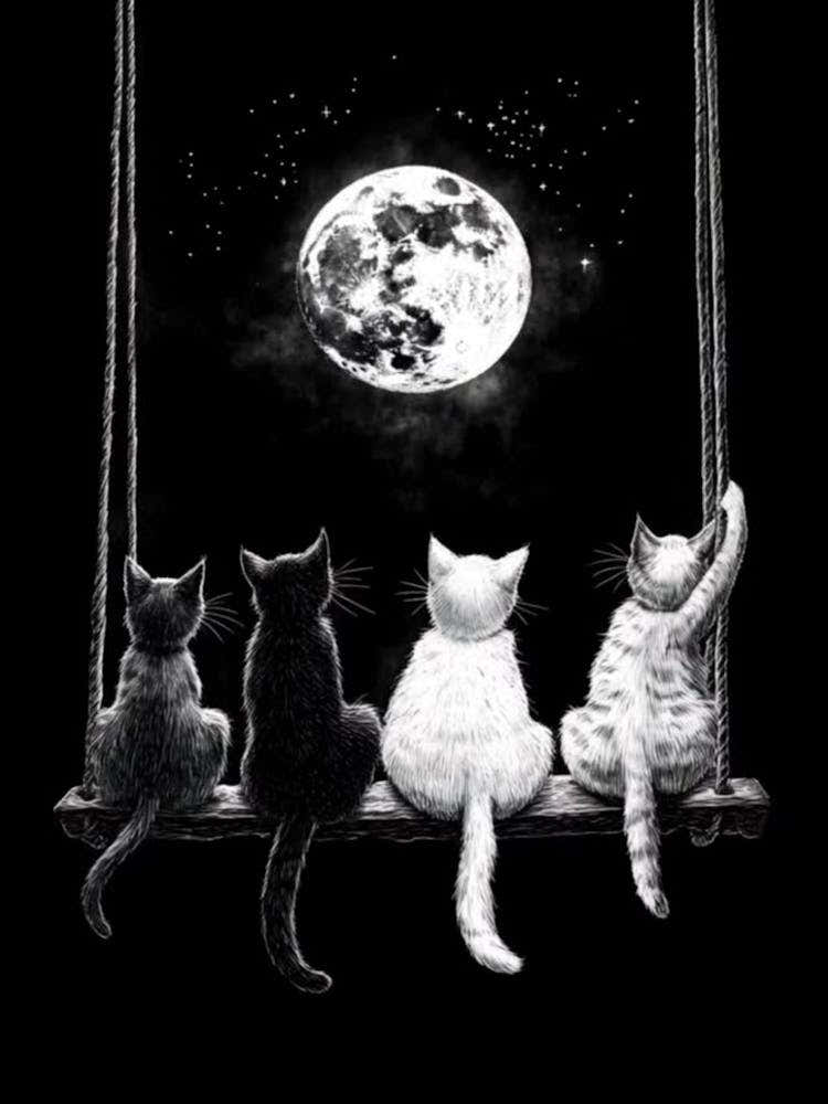 Cats Watching The Moon