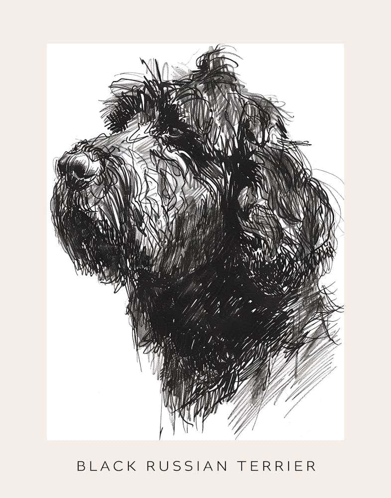 Black Russian Terrier Dog Line Sketch 1 Poster
