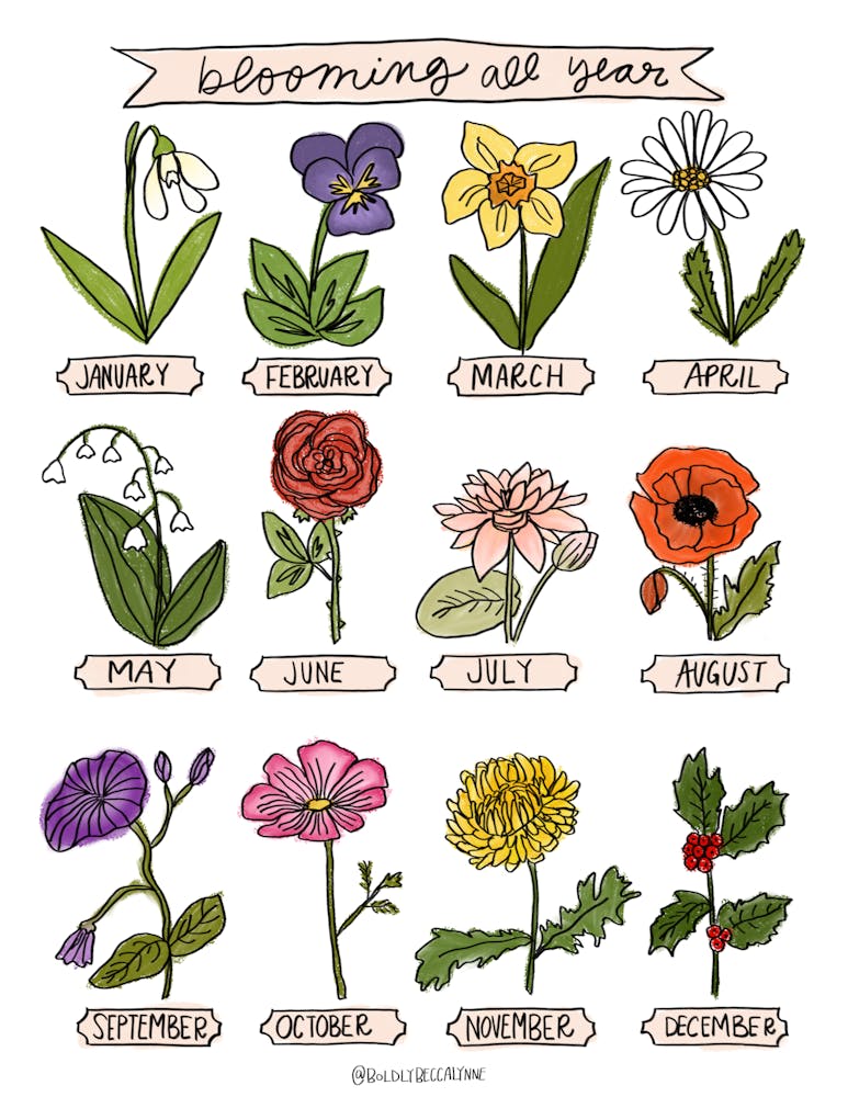 Blooming All Year 5