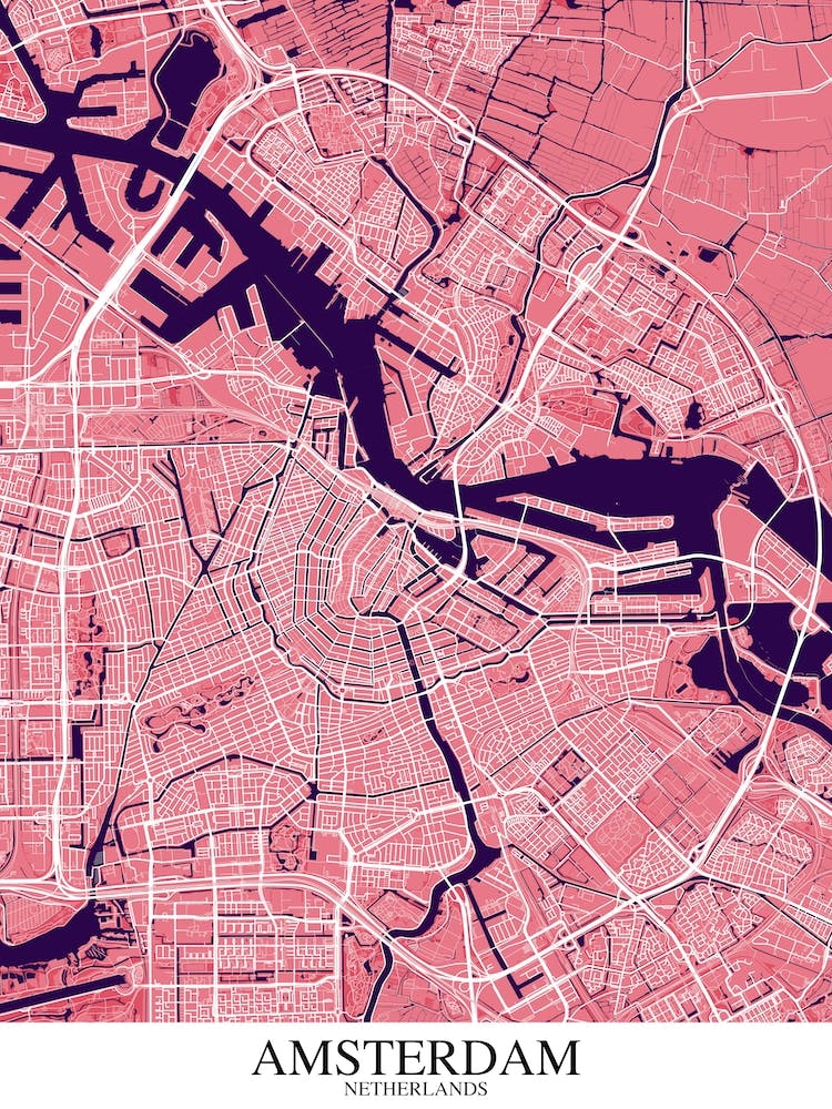 Amsterdam Pink Purple