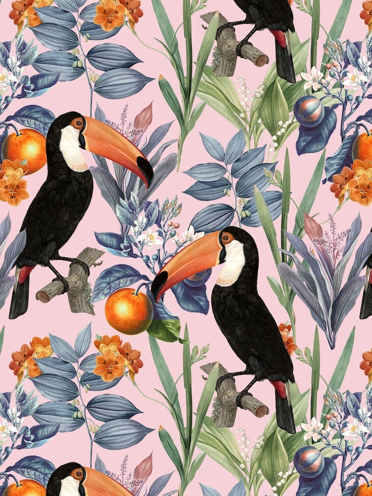 Tucan Garden