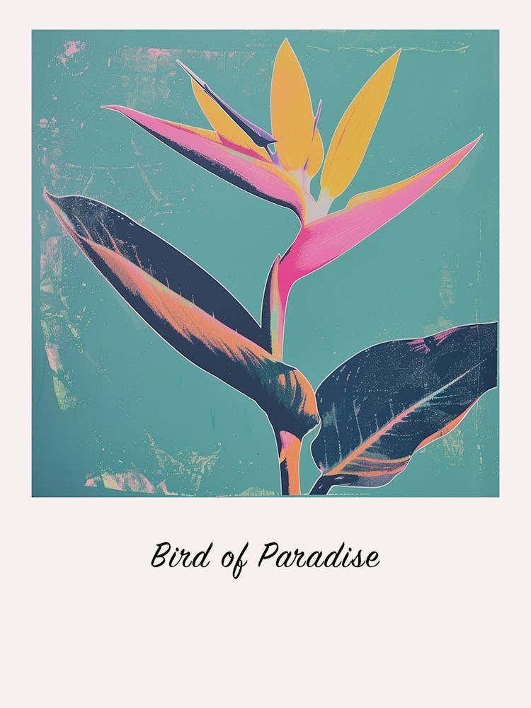 Bird Of Paradise 3 Square Flower Illustration Poster