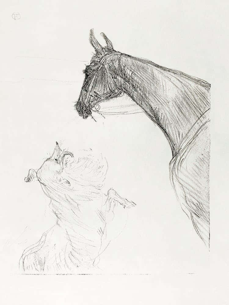 Horse And Collie (1898), Henri de Toulouse-Lautrec