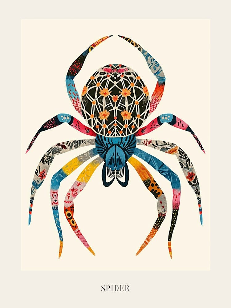 Colourful Insect Illustration Spider 8 Poster