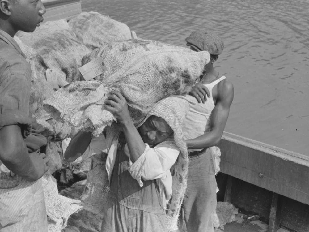 Untitled Photo, Possibly Related To Stevedore With Sack Of Oysters On Back, Olga, Louisiana By Russell Lee 1