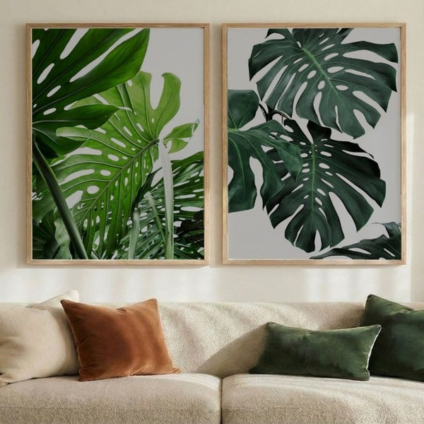 Monstera Canopy