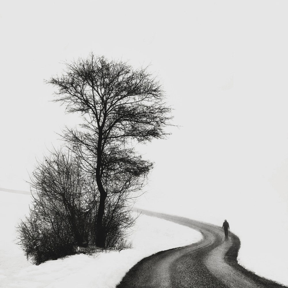 Follow the silence