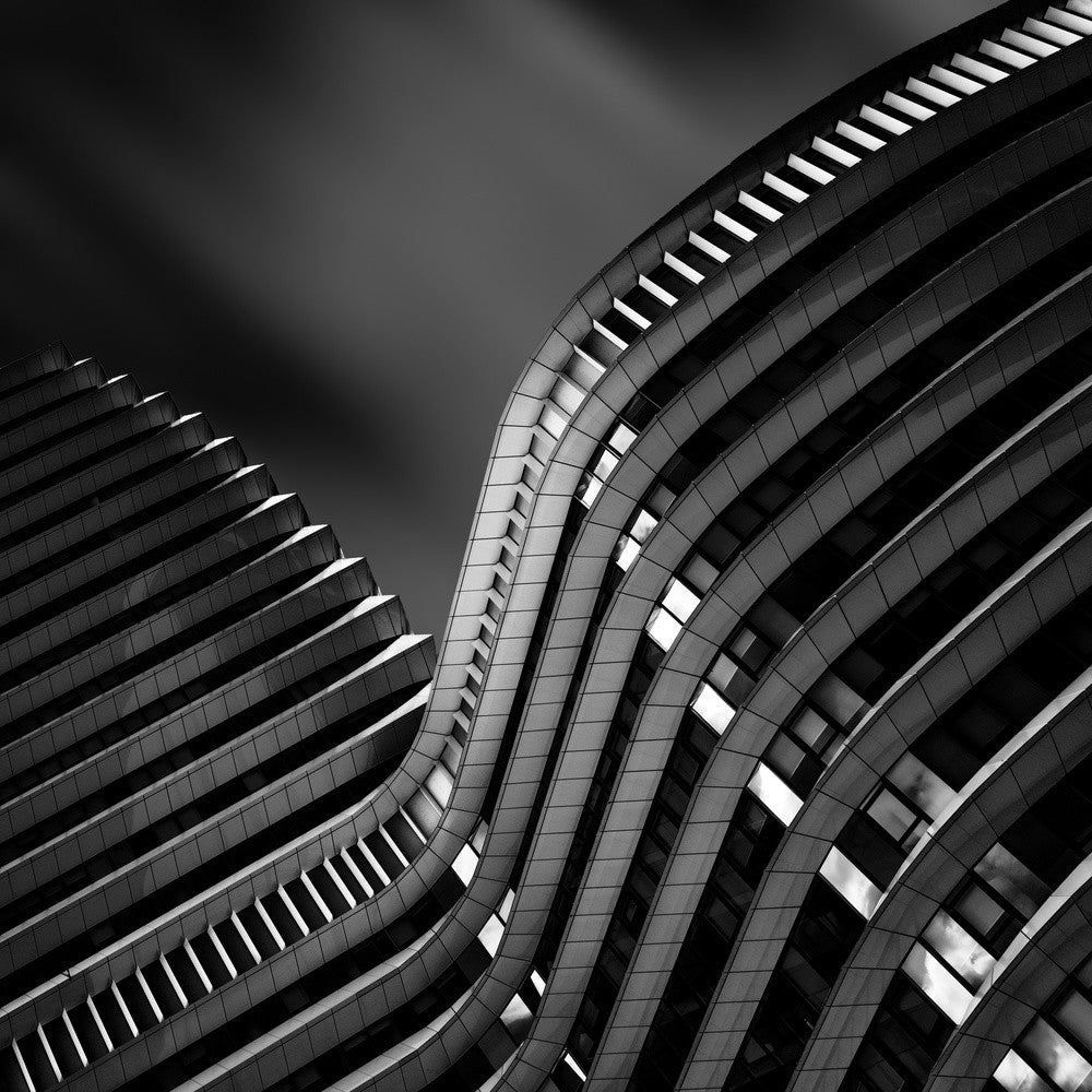 Duet of Light and Darkness