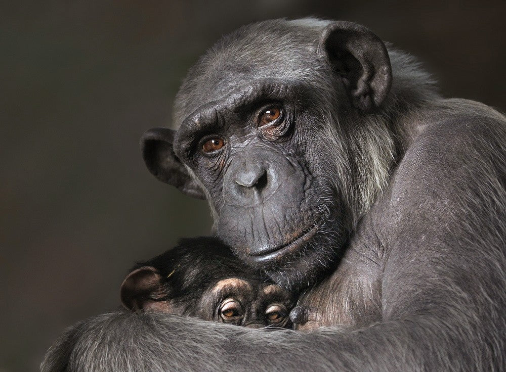 Mather and son