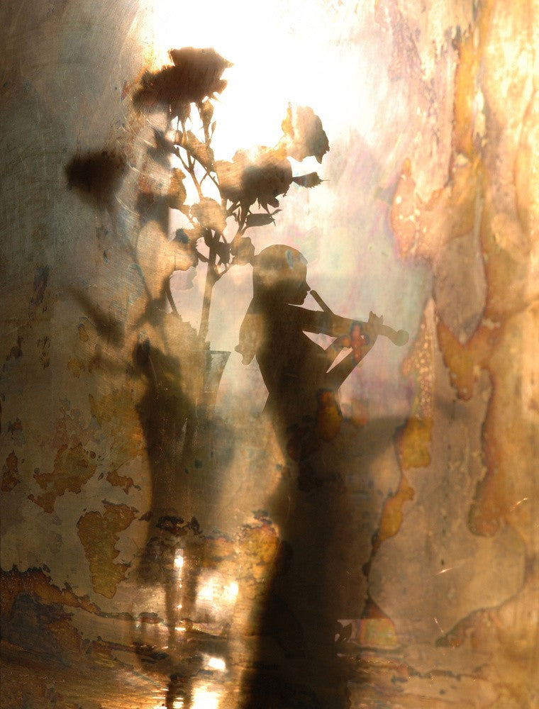Music of light and shadow
