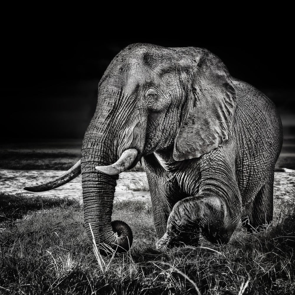 sunset at the waterhole