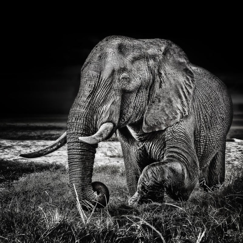 sunset at the waterhole
