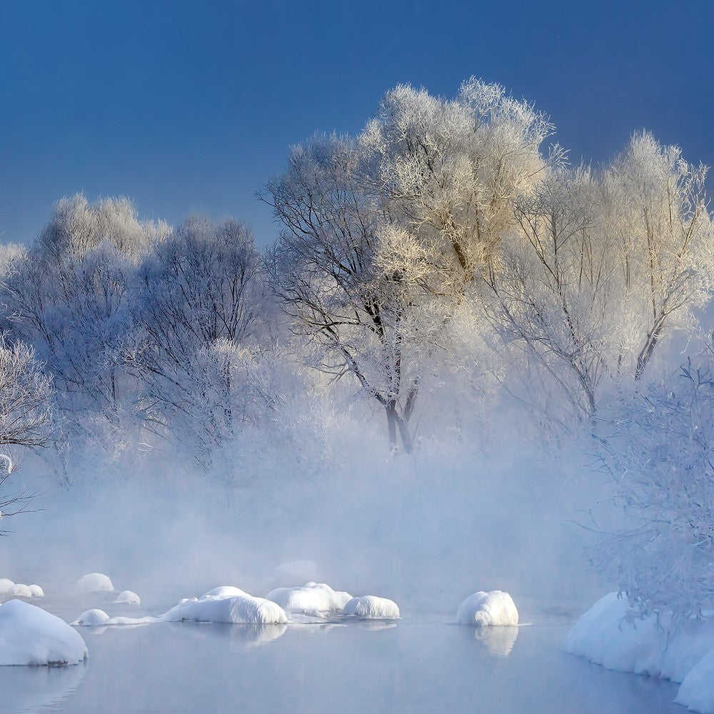 Morning fog and rime in Kuerbin