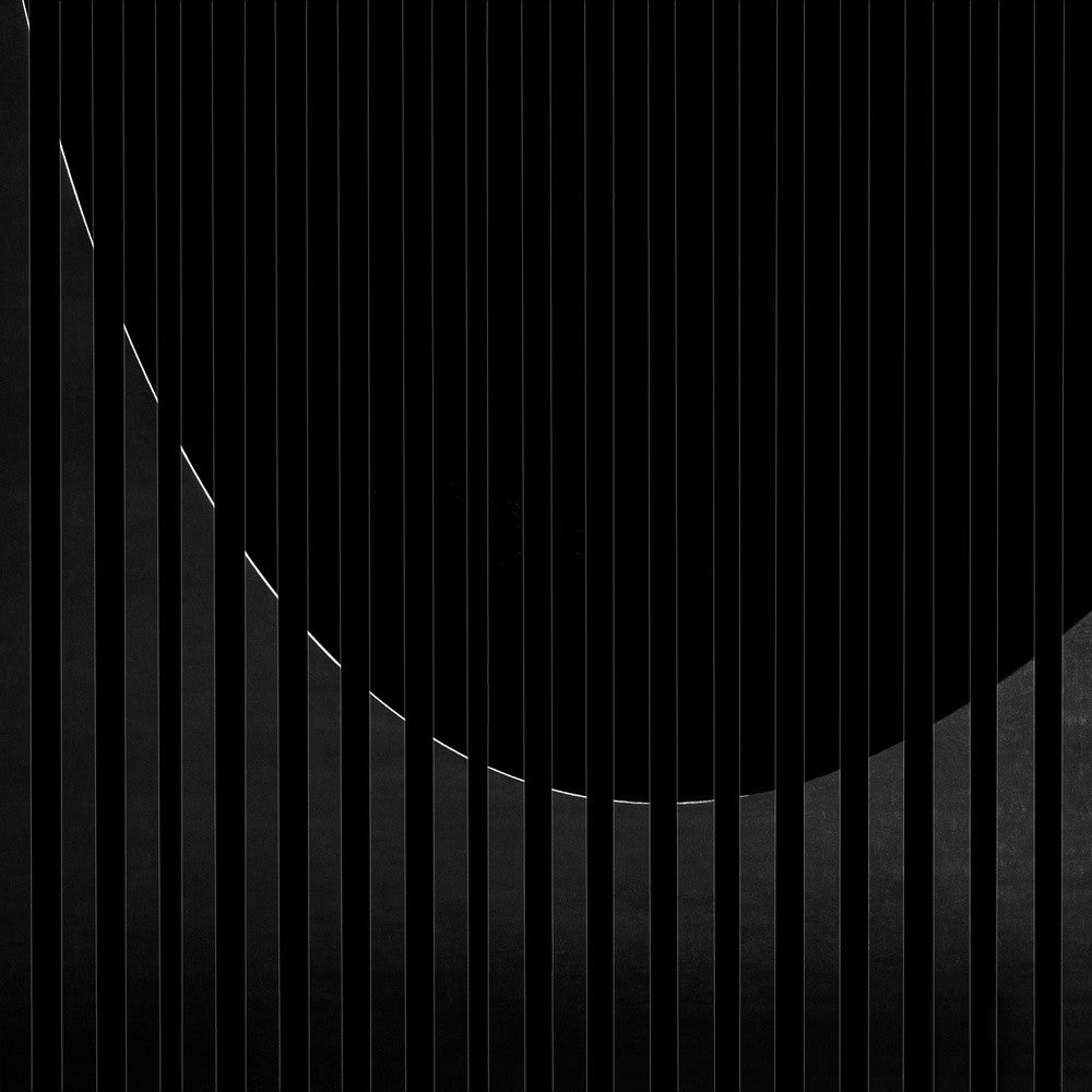 the harp