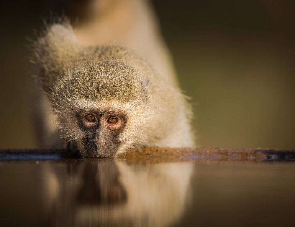 Attentive