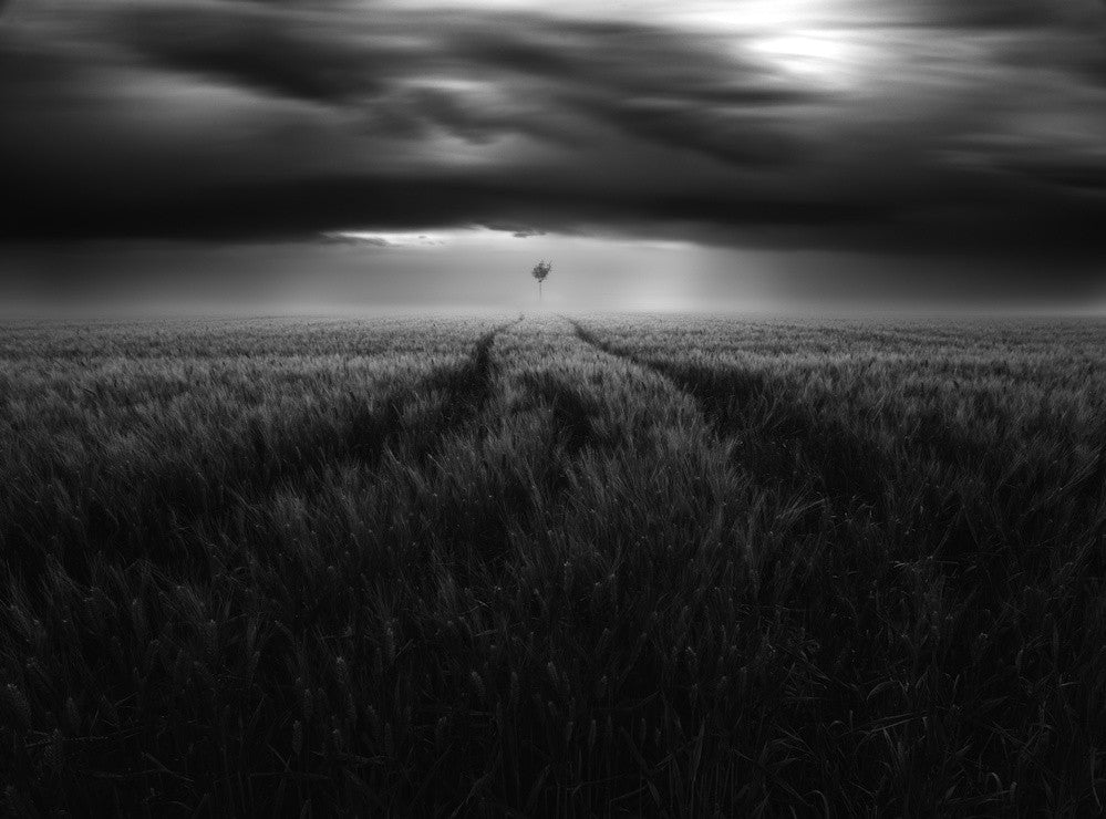 Singularity #2