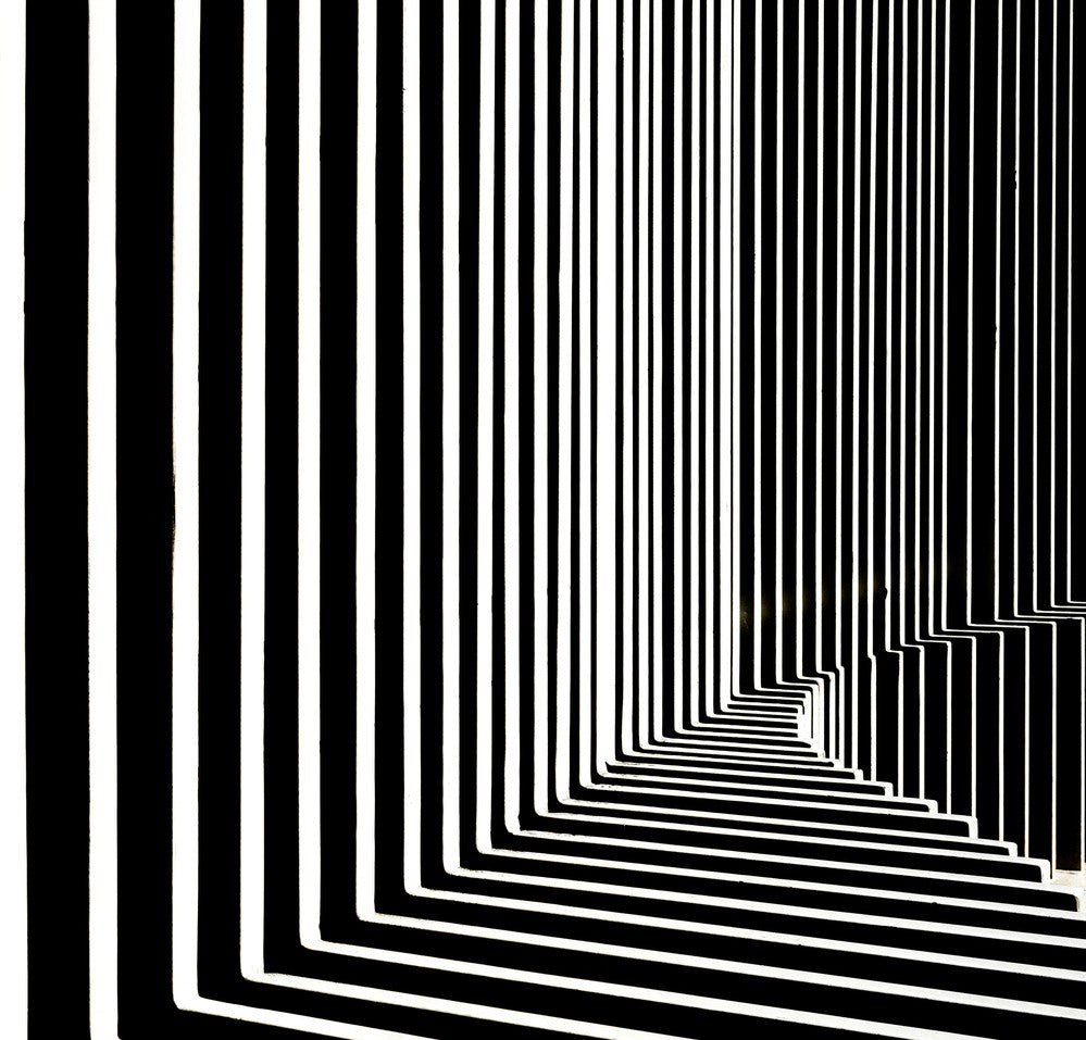Fence.