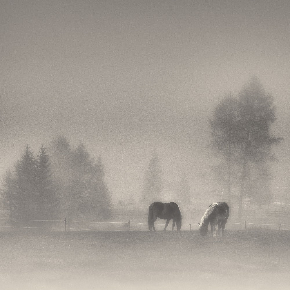 timeless moments