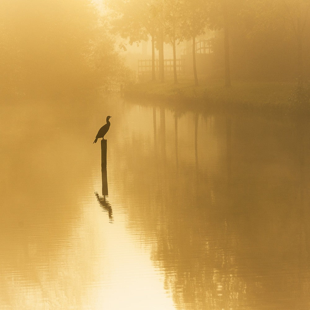  waiting for the sun ..........
