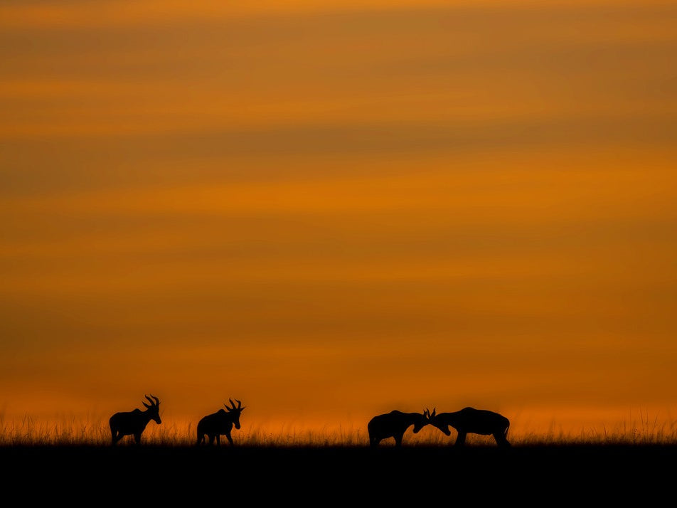 Kids... Time to Go Home!