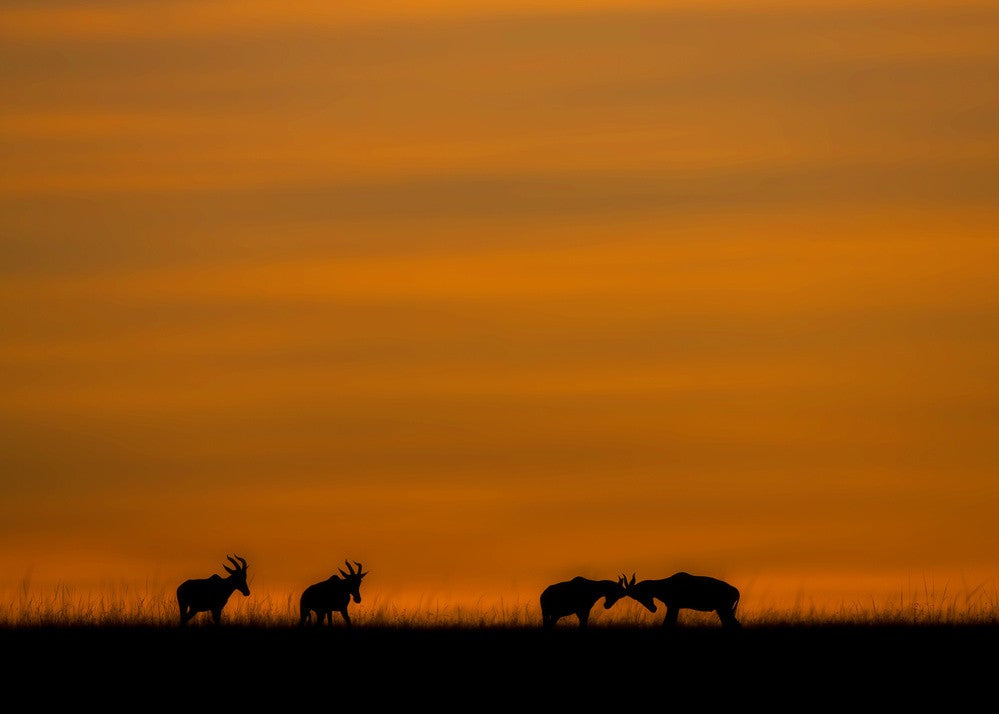 Kids... Time to Go Home!