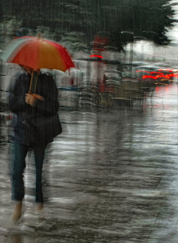 It's raining cats and dogs