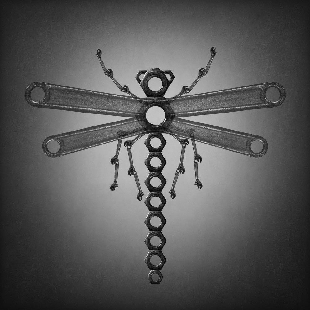 The dragonfly