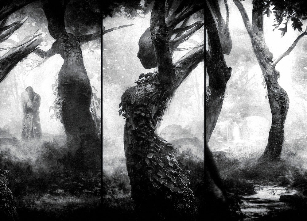 Forest - the other Side -