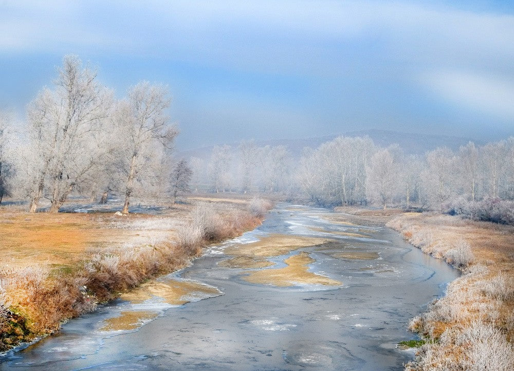 Frozen