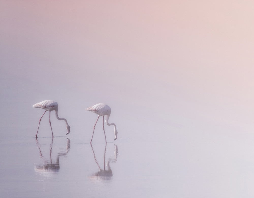 Serenity 3