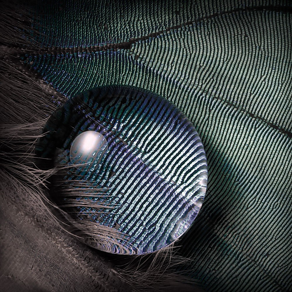 Magnify