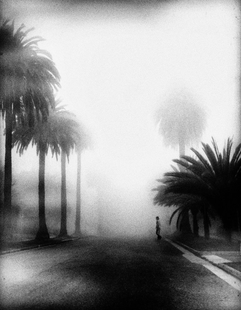 Fog