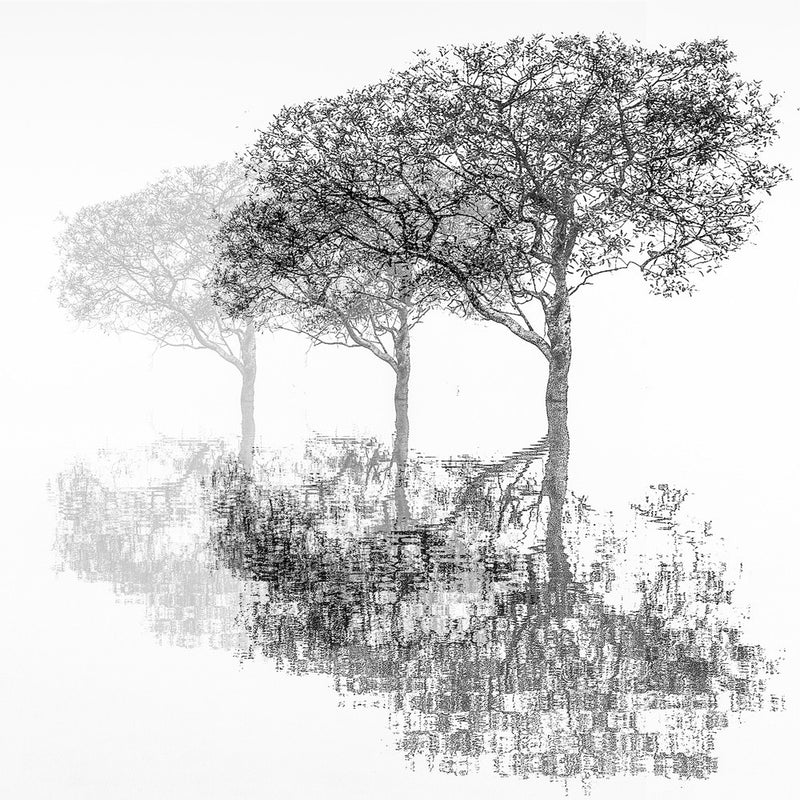 Three trees.