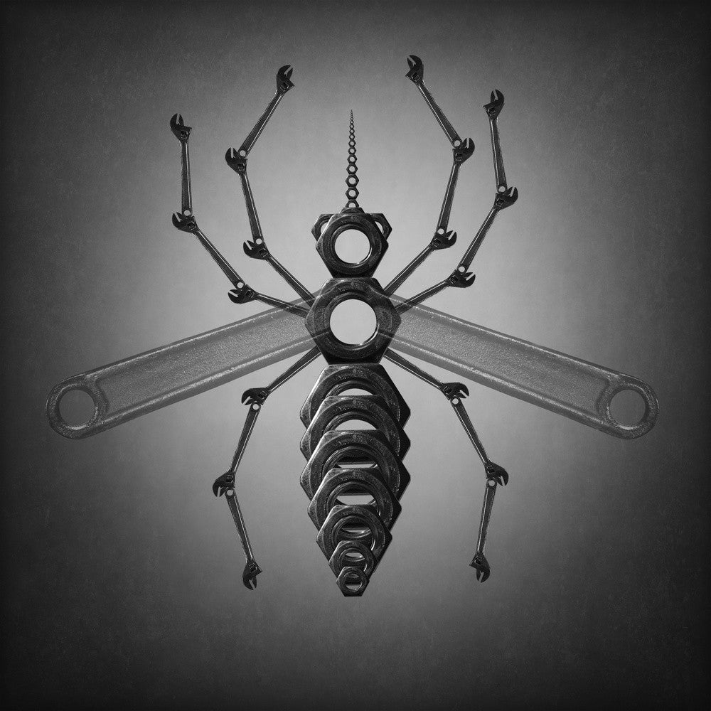 The mosquito