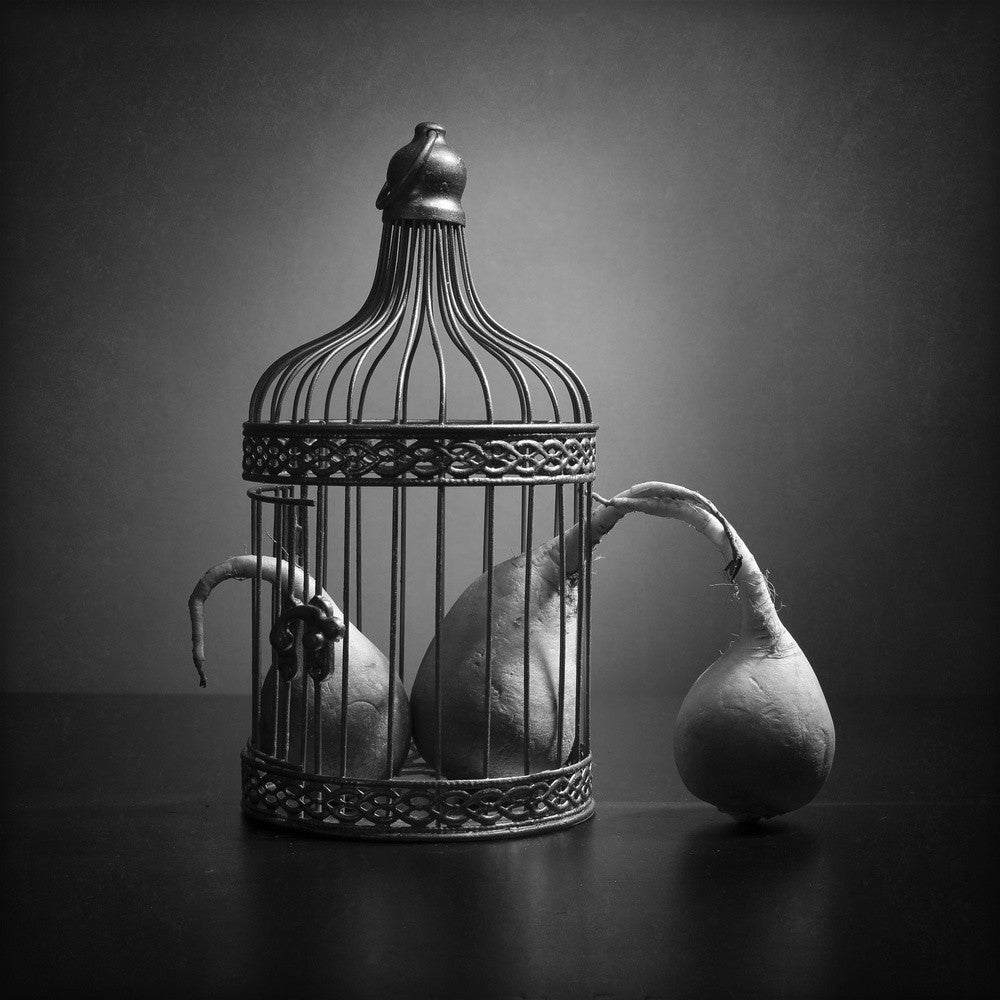 The prisoners and the visitor