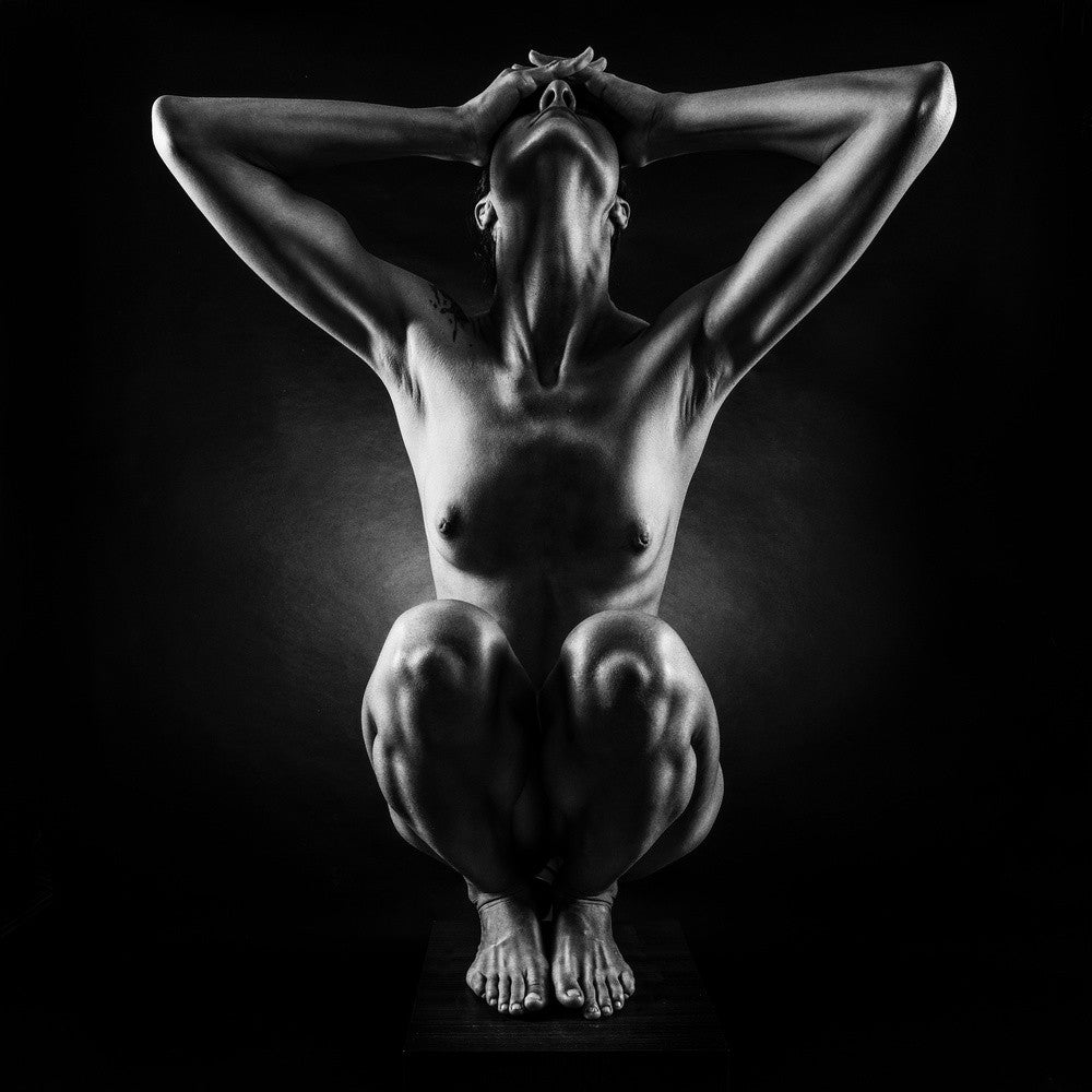 Bodies