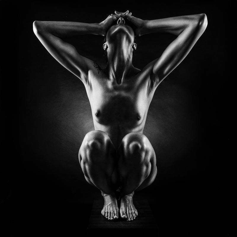 Bodies