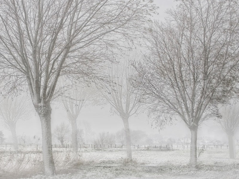 Covered with a white quilt