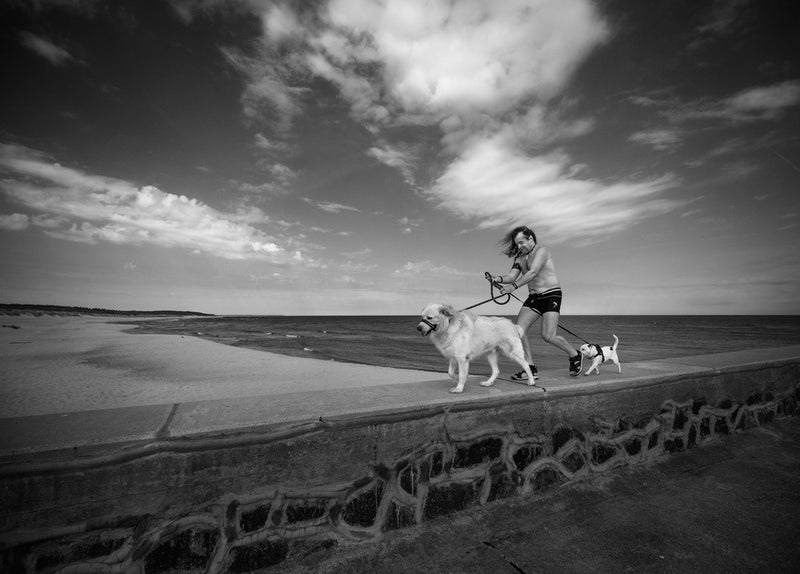 Fast as the wind