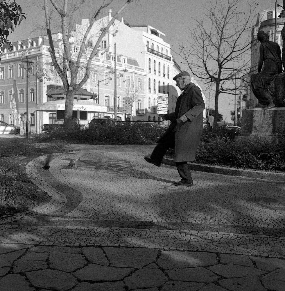 Dances with pigeons
