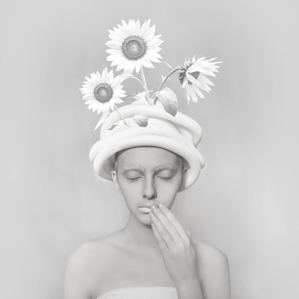 The Lost Sunflower