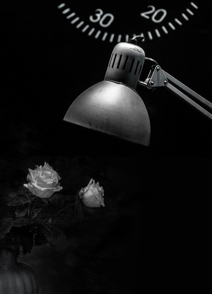 white roses