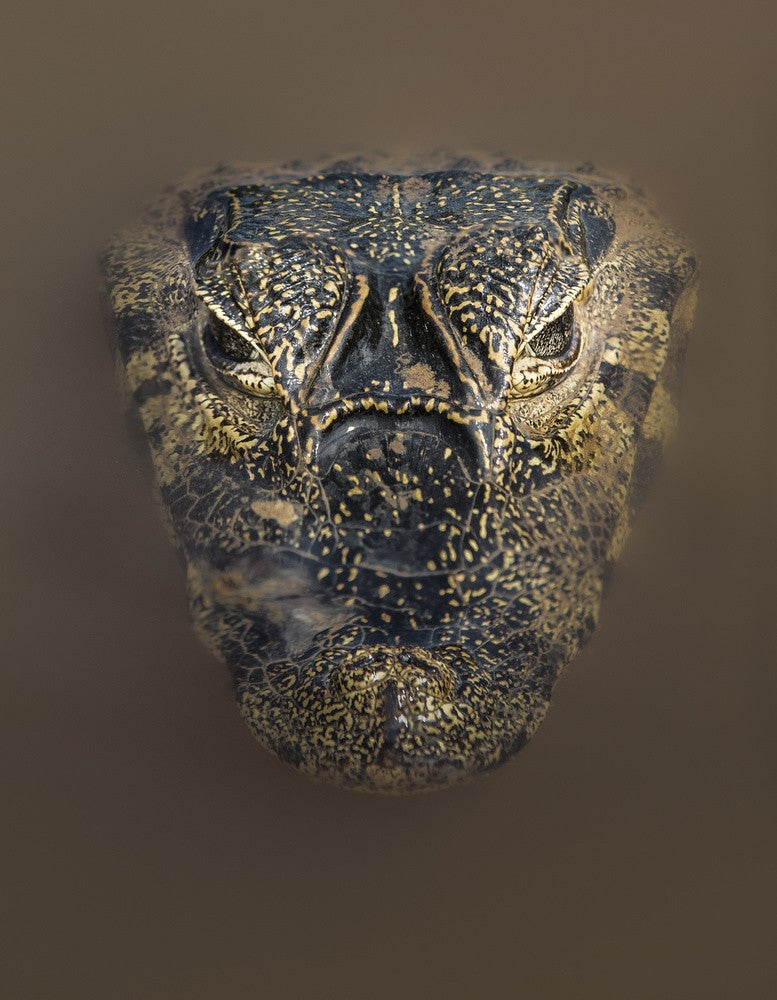 Mud mask