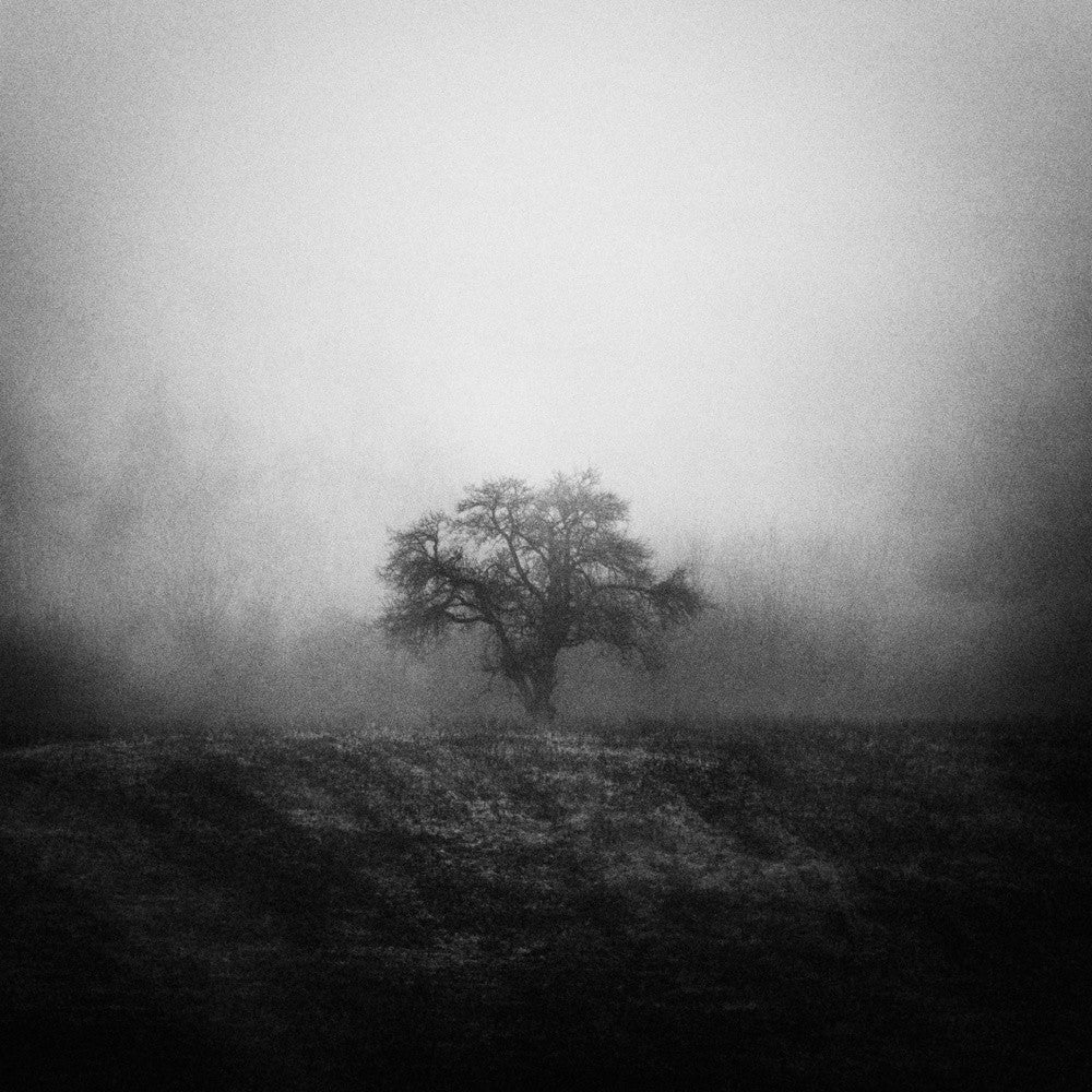 alone