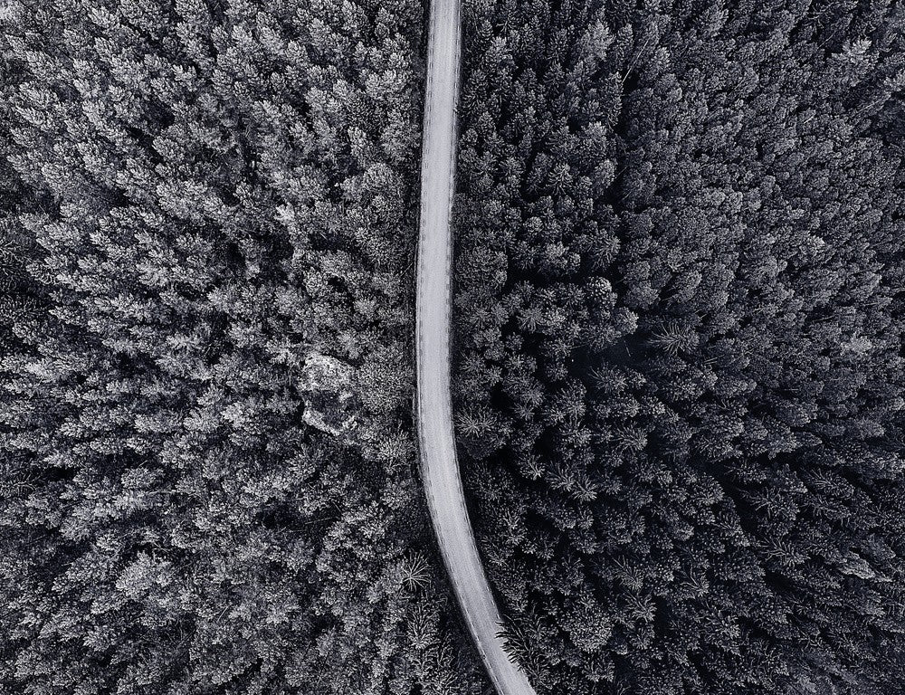 Divided