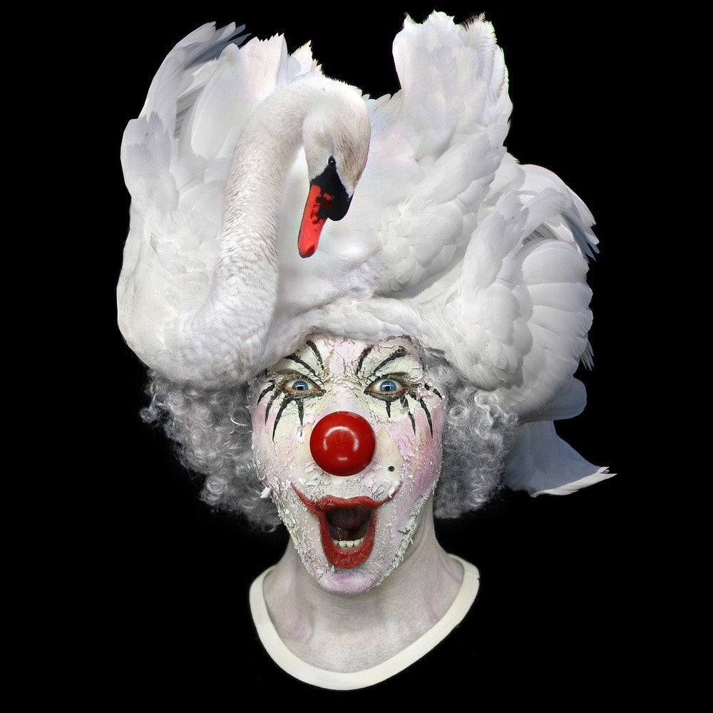 Swan Clwon